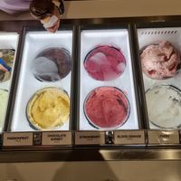 Vegan Sorbets 2 at Gelato Messina in Haymarket