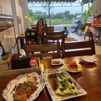 Tofu in tomato sauce and bok choy   at Sữa Cafe in Hoi An