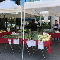 The stall with the most produce (of the 2 that were selling it!) at Kaiser San Francisco Farmers' Market in San Francisco