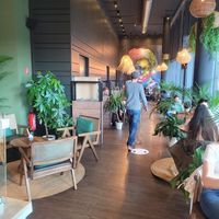  at Die grüne Kaffeebohne in Frankfurt