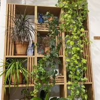 Green but simple facility.  at Panzamorena in Cordoba