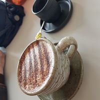  at The Gator Club in College Park