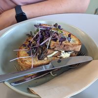 Delicious and creamy Fun Guy sandwich at The Gator Club in College Park