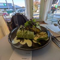 Gatorito at The Gator Club in College Park