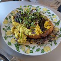 Scrambled tofu at The Gator Club in College Park
