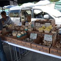 April 2016 at College of San Mateo Farmers' Market in San Mateo