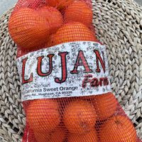 DELICIOUS navel oranges at Evergreen Farmers' Market in San Jose