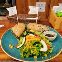 Mushroom sandwich at 1835 Coffee Lab in Puerto Ayora