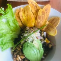 Vegan bowl  at 1835 Coffee Lab in Puerto Ayora