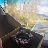 Plum chocolate brownie at Hustl. cafe in Queenstown