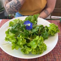 Salade verte at JS The Garden in Baie-mahault