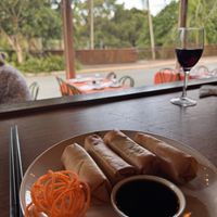 Some of the best spring rolls I’ve had!  at Cafe de Orient in Palmwoods