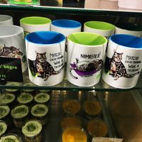  at Matcha Tsuki in Budapest