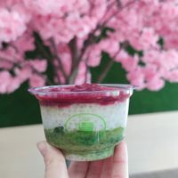 Tapioka matcha puding  at Matcha Tsuki in Budapest