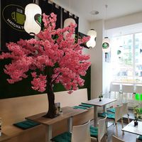  at Matcha Tsuki in Budapest