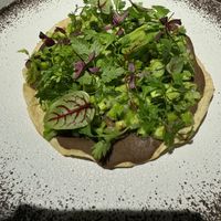 Cactus taco   at RUBIA Fine Mexican Restaurant in Tokyo