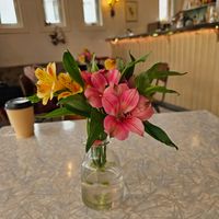  at Nobel Bopel in Bergen