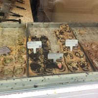 more vegan rolls  at Cinnamood in Hamburg