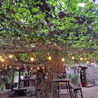  at Squeeze Me in Mirissa