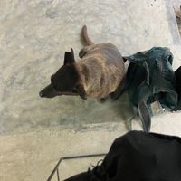   at Squeeze Me in Mirissa