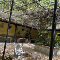   at Squeeze Me in Mirissa