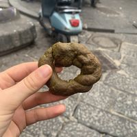   at Taralleria Napoletana in Naples