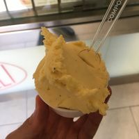 Mango ice cream   at Caprilli in Livorno