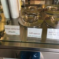 Vegan flavours  at Caprilli in Livorno