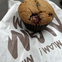   at Dutch Café in Marseille