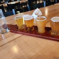Flight of Four - Tasting board at Stone Hound Brewing Company in Williamsburg