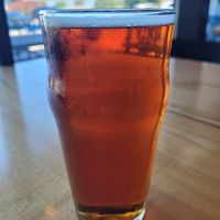 Yummy! at Stone Hound Brewing Company in Williamsburg