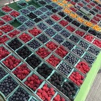   at Farmer's Market in Carson