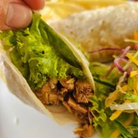 Jackfruit wrap at The Jackfruit Vegan Cafe in Dikwella