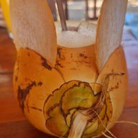 Cute "mouse-coconut" at The Jackfruit Vegan Cafe in Dikwella