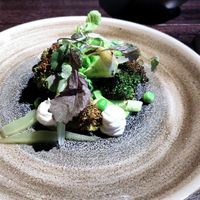 Vegan main (grilled brocoli) at Shelter in Helsinki