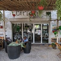 Unexpected surprise, lots of international vegan dishes, friendly well trained staff. Highly recommended! at Corina Pastry Shop in Zanzibar
