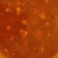 Chana masala at Kathmandu Bistro in Rapid City