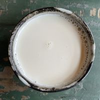   at Lapita Sherbert in Kagoshima