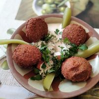 Falafel with tahini sauce at Mezze Bar in Jerez