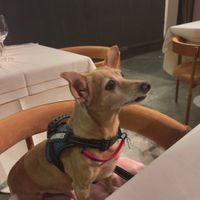  at Amador in Buenos Aires