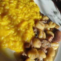 Pumpkin risotto and gnocchi with mushrooms at Granozero in Lecco