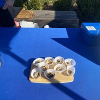 Vegan Chocolate Cookie Samples  at BAM! Cookies & Bake Shop in Fremont