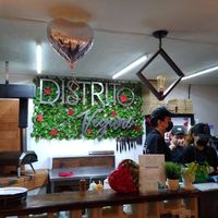  at Pizzeria Distrito Vegano in Merida