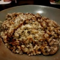 Vegan Risotto al Funghi at Prego Restaurant in Auckland