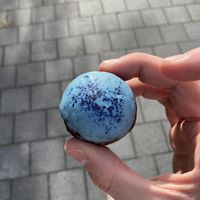 Beautifully blue nut/date ball thingy   at Wild & The Moon - Arnold Schönberglaan in Amsterdam