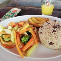 Gallo Pinto vegan at Soda Pura Vida in Santa Teresa