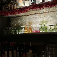   at La Setima Club in Tampa