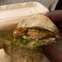 Seezer slider  at La Setima Club in Tampa