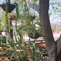  at Dusty Donkey Cafe in Maun