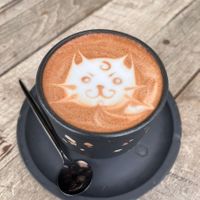 #Veganuary at Black Mamba in Santiago